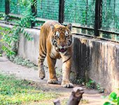 Sarthana Nature Park